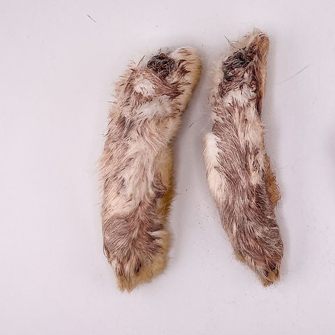 Rabbit Feet with Fur 'Back Large Foot'